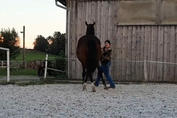 Screenshot_20240216_230403_Gallery